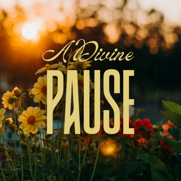 A Divine Pause with Mother Mary